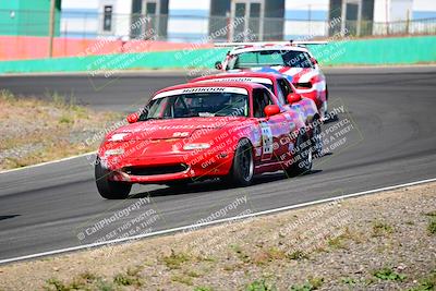 media/May-05-2024-Lucky Dog Racing (Sun) [[8a365fce5b]]/915am-Turn 4b/